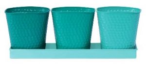 Herb Garden Set ($19.99, Target)