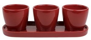 Threshold Ceramic Herb Trio Planter ($14.99, Target)