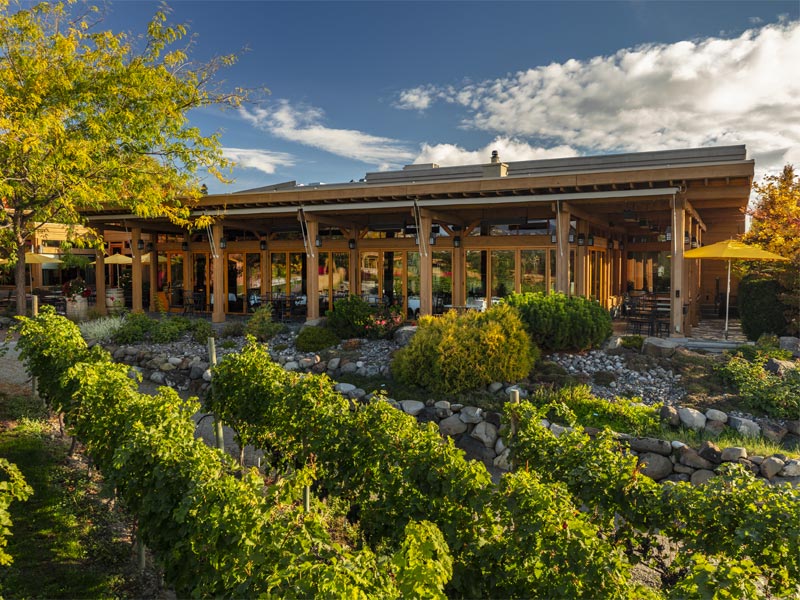 best okanagan wineries, okanagan winery, okanagan vineyards, Mission Hill winery, quails gate estate winery, Kelowna winery, Kelowna winery to visit